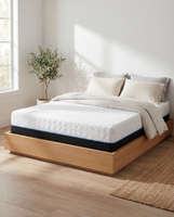 Copper Recovery Memory Foam Mattress